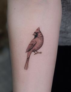 a small bird tattoo on the arm