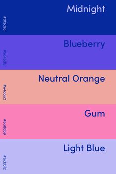 the color chart for midnight blue, blueberry, neutral orange, gum, light blue