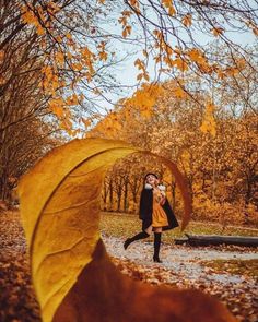 a woman is standing in the middle of an autumn forest with yellow leaves on the ground