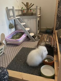 two cats eating food out of bowls on the floor in front of a cat house