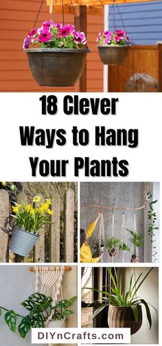 hanging flowering plants for beginners Hanging & Decoration Ideas For Your outdoor | flowers Plants Growing Ideas Hanging Plant Pots Outdoor, Diy Indoor Hanging Planter, Ways To Hang Plants Outside, Indoor Hanging Basket Ideas, How To Hang Plants On Porch, Indoor Plant Hanger Ideas, Plant Hooks Outdoor, Hanging Pot Plants Indoor, Diy Garden Hanging Decor