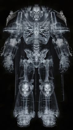 an x - ray image of a skeleton with arms and legs in the shape of a human body