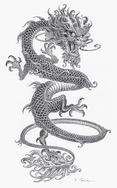 an ink drawing of two dragon on white paper