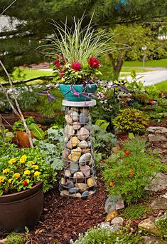 a garden filled with lots of plants and rocks