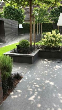 an outdoor patio with trees and plants in it