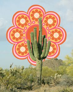 a cactus with an orange flower in the center on a wooden table next to a mountain