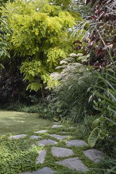 a stone path in the middle of a lush green garden