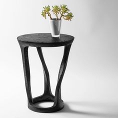 a black table with a plant on it