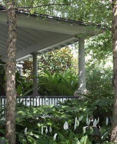 the porch is surrounded by trees and plants