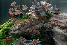 an underwater scene with corals and moss growing on a log