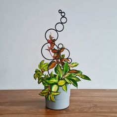 a potted plant sitting on top of a wooden table