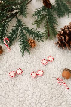 some candy canes and pine cones on a white blanket