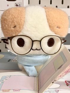 a stuffed animal wearing glasses reading a book