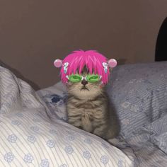 a cat with pink hair and green glasses sitting on a bed