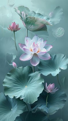 pink flowers and leaves floating on water