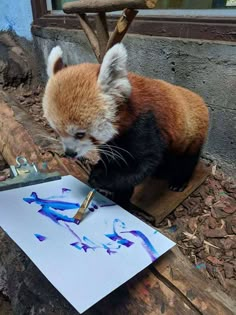 a red panda cub painting on a piece of paper