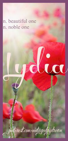 red poppies with the words, iyicia in front of them and an image of