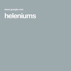 the words heliums are written in white on a gray background