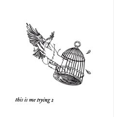 a drawing of a bird in a cage with the words, this is me trying