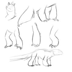 an animal's legs and feet are shown in this drawing lesson, which shows how to