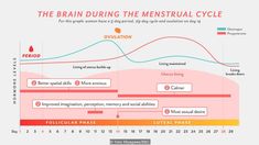 The Menstrual Cycle, Progesterone Levels, Good Communication Skills, Hormone Levels, Health App, Brain Power