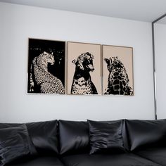 two black and white pictures hanging on the wall above a couch in a living room