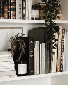 some books are on a white shelf with a potted plant