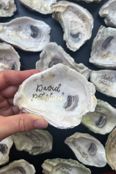 a hand holding an oyster shell with writing on it