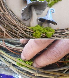 two pictures side by side, one with blue flowers and the other with green moss