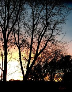 the sun is setting behind some bare trees