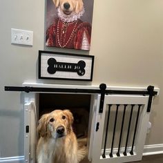 a dog is sitting in its kennel with his paw on the door and looking at the camera