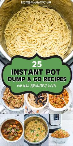 the 25 instant pot dump and go recipes you'll absolutely love to try out