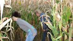 two people standing in a corn field with their faces obscured by the corn cob