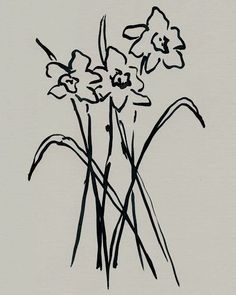 an ink drawing of flowers in a vase