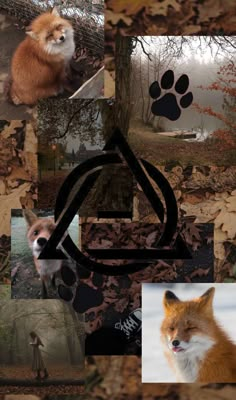 a collage of pictures with different animals and their name on it's image