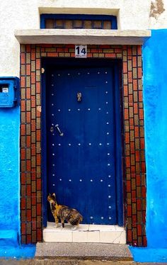 a cat sitting in front of a blue door