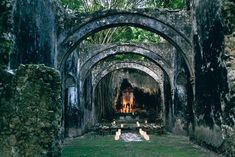 the inside of an old stone building with candles lit up in the center and trees growing out of it