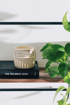 the polaroid book sits on top of two books next to a potted plant