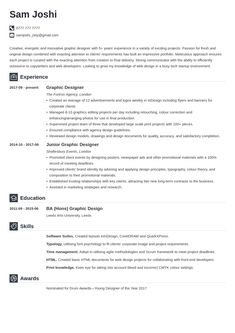 a professional resume with no work experience