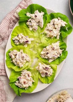 a white plate topped with lettuce covered in chicken salad