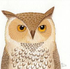 A watercolour painting of a Scot’s hoolit owl by Scottish Artist Ailsa Black Home Ware, Owl Watercolor, Owl Artwork, Baby Painting, Owls Drawing, Owl Pictures, Scottish Art, Scottish Artists, Owl Painting