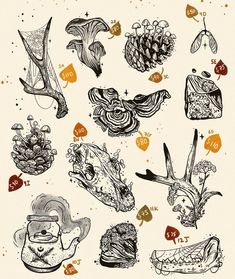 the flash sheet is filled with different types of food and things that can be seen in this