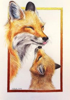 a drawing of two foxes with their heads touching each other