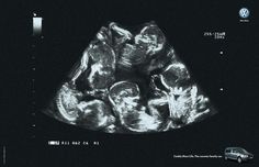 an x - ray image of three puppies in their mother's pouch