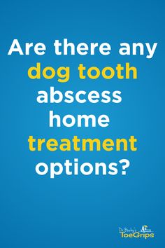 a blue background with the words are there any dog tooth access home treatment options?