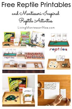 the free reptile printables and monteri - inspired activities are great for kids