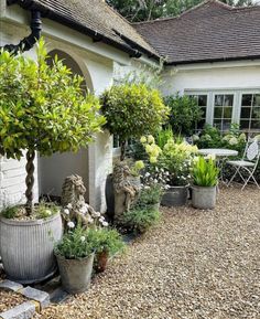 an outdoor garden with potted plants in front of a white brick building and stone steps leading to the patio area