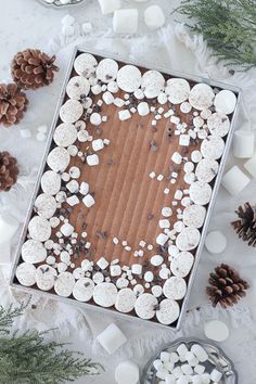 a chocolate cake with marshmallows and pine cones on the table next to it