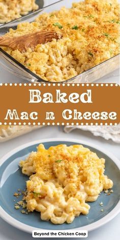 baked macaroni and cheese on a plate