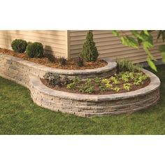 an outdoor garden area with stone steps and plants growing in the ground next to it